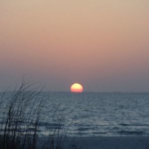 Meet your Posher, Levi